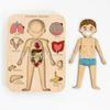 Children's Organ Puzzle Organ Puzzle Children's Learning Puzzle 1
