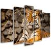 Five Piece Picture Canvas Print Africa Tiger Animals
