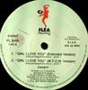 12inch Record DANDY - Girl I Love You FL8453 Flea Records 1990 Italy Dance & Electronica Used