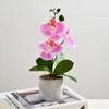3 Heads Artificial Orchid Flower Advanced Fake Phalaenopsis Bonsai  Party Decor