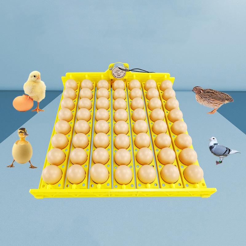 Автоматический инкубатор с 8/22/36 отверстиями, лоток для яиц, держатель для инкубатора для уток, домашней птицы, гусей, птиц, запасные части