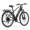 Electric bicycle Duotts C29 Lite, 250W motor, 36V 13AH battery, top speed 25 km/h, cruising range 65km, 27.5x2.25 inch tires
