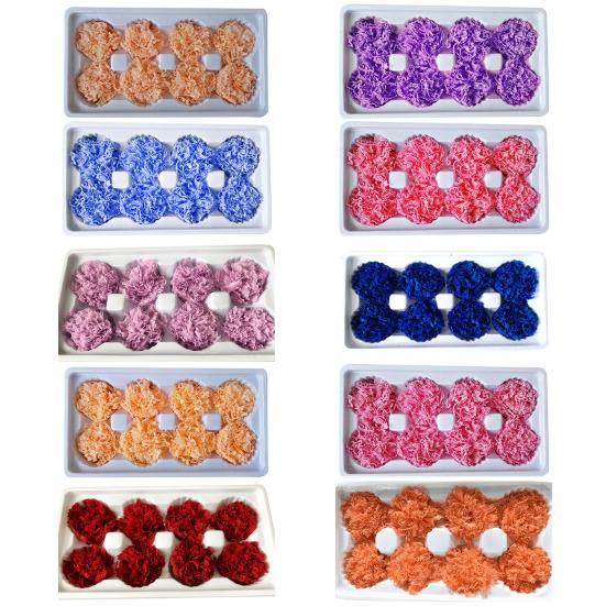 8Pcs Preserved Flower Head Carnation Decorative Dried Flower Mothers Day Gift Box Flower for Mother