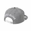 Lion Cotton Straight Adjustable TR2938 [Withmoons] Hat, 100% Cap, Size, (Grey)