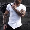 Fitness Sports T-Shirt Muscle Vest Men's High Elastic Training Short Sleeve Lightweight Breathable Gym Bodybuilding T-Shirt