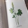 [USED] Czech Plant Encyclopedia Botanical Art Junk Journal