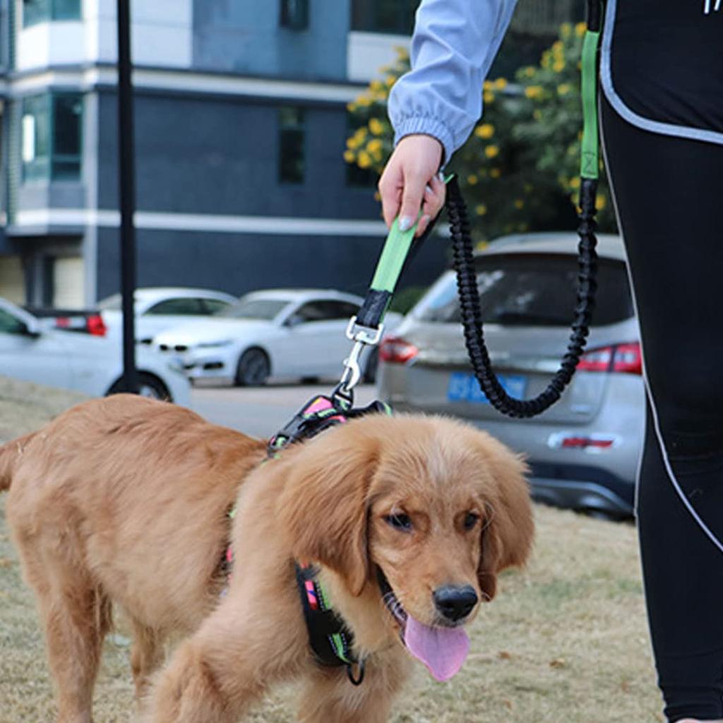 Reflective Hands Free Dog Leash with Zipper Pouch, Durable Bungee and Dual Padded Handles for Large and Medium Dogs