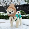 Comfortable Pet Head Cover Warm Pet Transformation Hat Cute Winter Pet Hat  Party