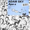 12-дюймовая пластинка ADAM SKY - Ape-X KITSUN034 Kitsune Music 2006 Франция Танцевальная и Электронная Б/У