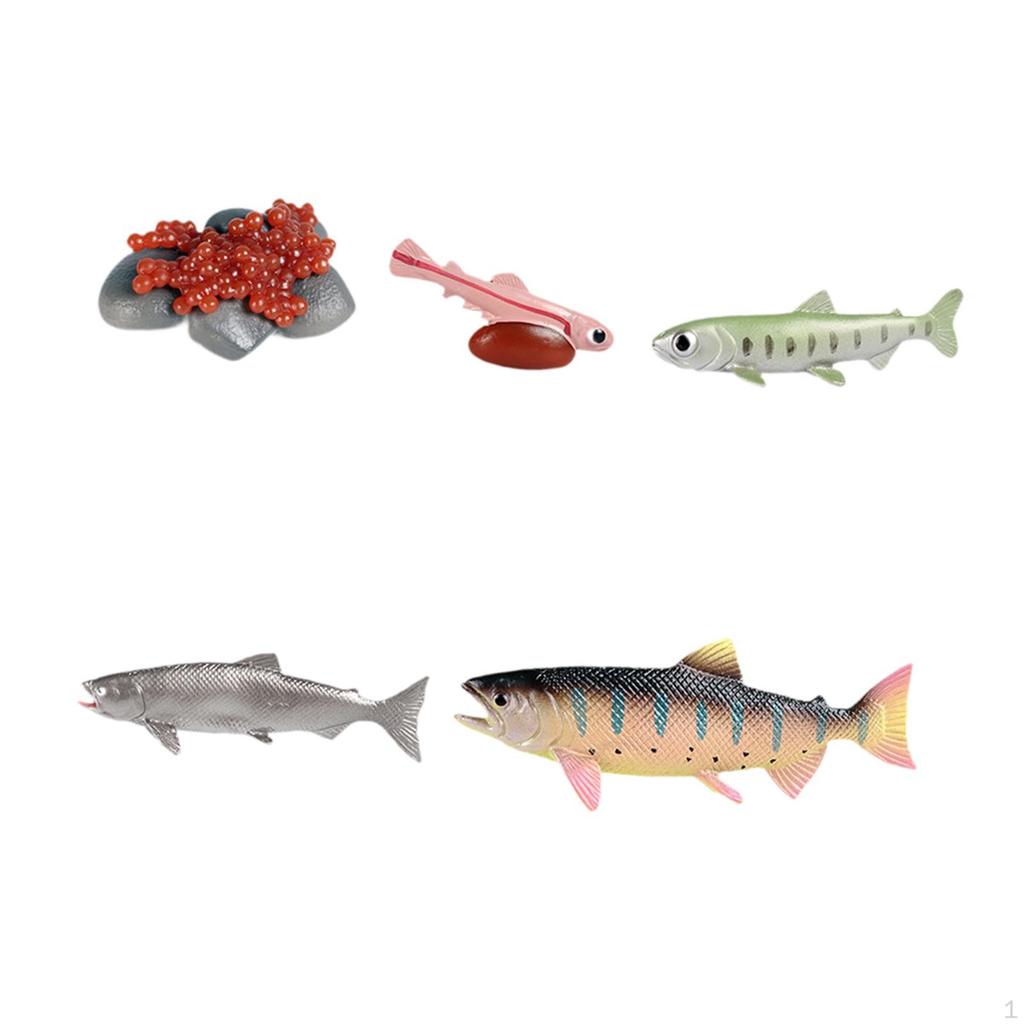 Обучающий набор игрушек «Жизненный цикл лосося» с реалистичными сельскохозяйственными животными