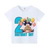 Dragon Ball Birthday Number Printed Tshirt Boys Girls Cartoon Anime Tees Short Sleeve Summer Casual Clothing Loose Tops Gifts