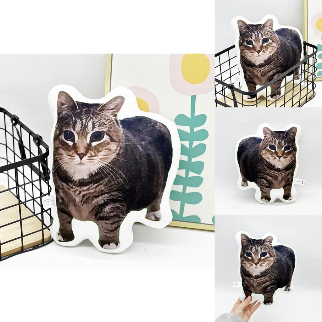 Plush Cat Animal With Pp Cotton Filling For Kids And Teens Comfort