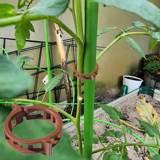 Climbing Plant Clamps Secured Long-lasting Plastic Plant Clips Garden Vine Support Clip Multifunctional Plant Holder for Vine Stem Fixing