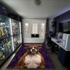 1PC Custom Name Boxer Dog Art Theme Floor Mat Ideal for Living Room, Game Rooms, Office, Bedroom,Floor Mat Playful Design