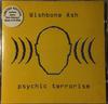 CD WISHBONE ASH - Психический терроризм RALVP004CD Ration-L 1999 Япония ОбиТанцевальная и Электронная музыка Б/у