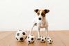 LANCO Dog Toy Soccer Large Ball,
