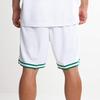 Nike Шорты NBA Boston Celtics Association Edition Swingman Dri-FIT AJ5586-100