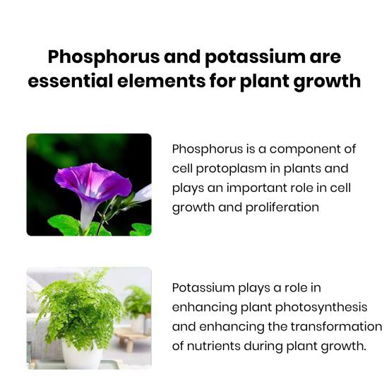22 шт., удобрение дигидрофосфат калия, растения, цветы, зелень, пищевая добавка, медленное высвобождение, таблетки, садовые принадлежности
