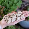20pcs Landscaping Flowerpot Decoration Resin Cat Claw Ornaments Cat Paw Stepping Stones  Pathways