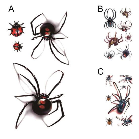 Водонепроницаемая наклейка-татуировка с 3D-эффектом, ультратонкая, модная, временная, паучья, наклейка для боди-арта унисекс