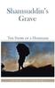 Книга Shamsuddin's Grave : The Story of a Homeless