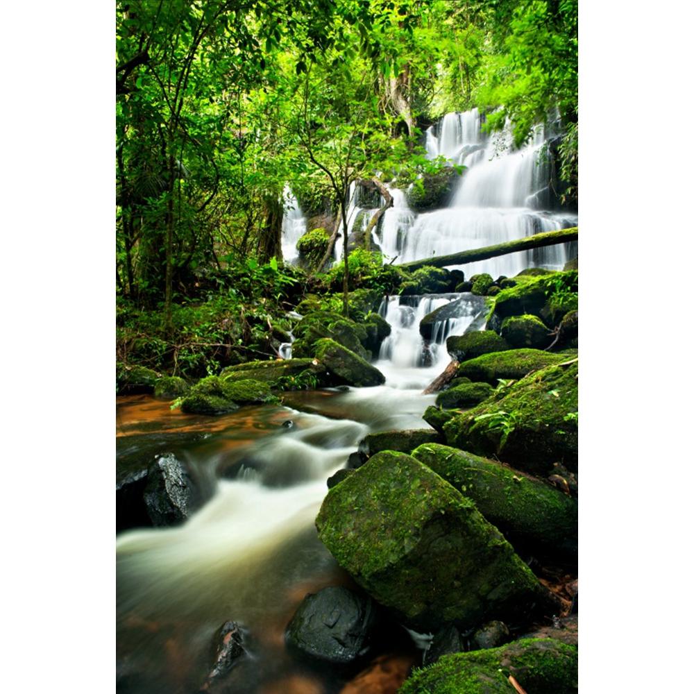 Spring Natural Scenery Forest Photography Backdrop Tropical Jungle Green Forest Tree Adventure Baby Portrait Photo Background