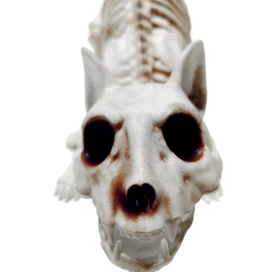 Украшения на Хэллоуин Реалистично выглядящие Декоративные Улучшение Атмосферы Пластиковый Ужас Кошка Скелет Хэллоуин