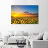 Canvas Print Sunflowers Sunset