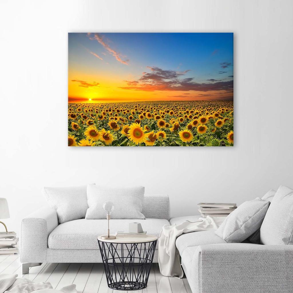 Canvas Print Sunflowers Sunset