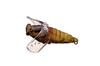 SMITH LTD Noisy Bisen 38мм Призрачная олива 2.6г #23