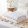 Mercury Home Textiles Anti-Mite & Antibacterial Quilt