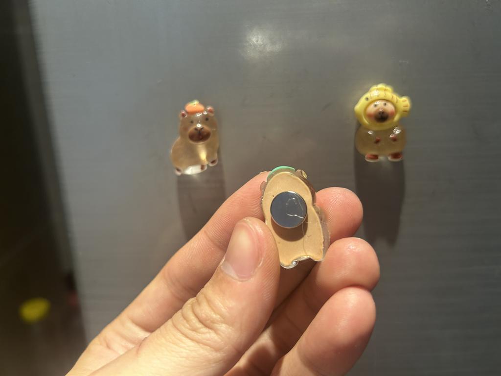 5 шт. DIY магнит на холодильник капибара рыба фугу магниты скандинавский персонализированный домашний декор белая доска Po доска объявлений Главная