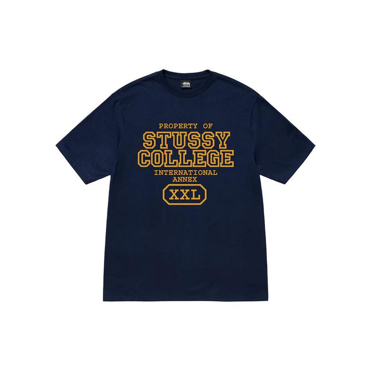 Stussy Property Of Tee 1904872