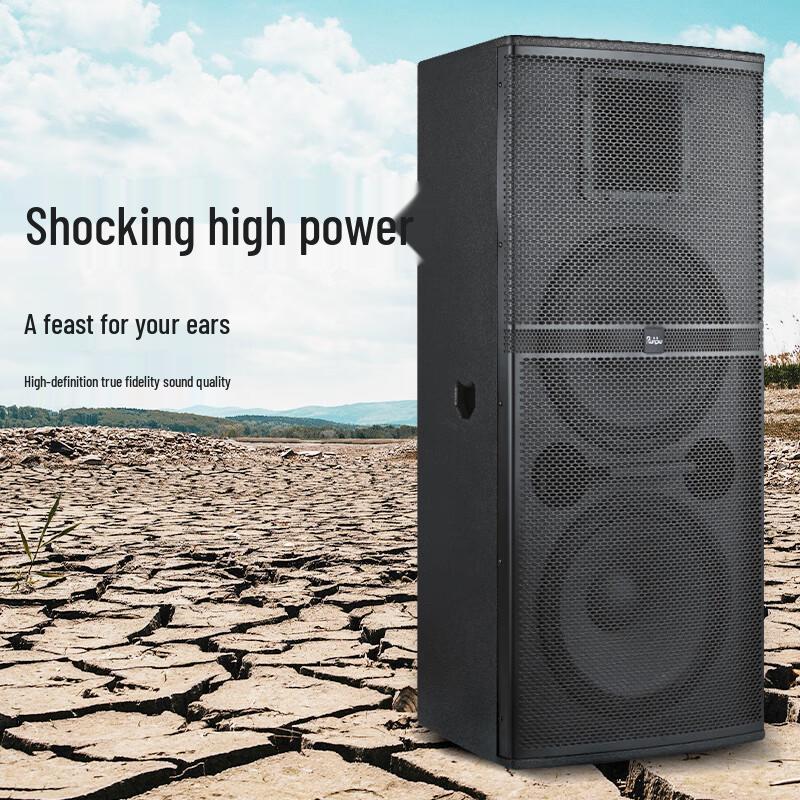 Runpu Professional Dual 15-inch Passive Conference Speaker (CN version)