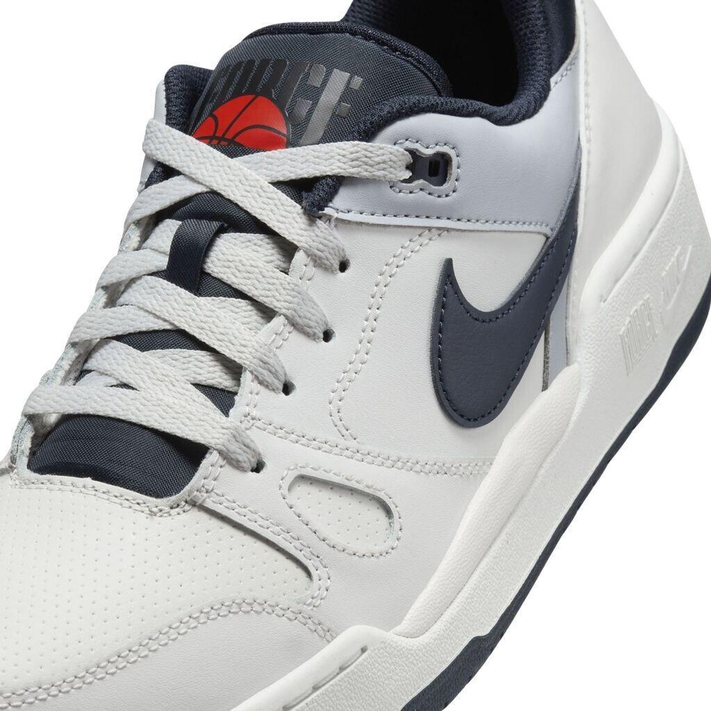 Кроссовки Nike Full Force Low (FB1362-002) platinum tint/wolf grey/summit white/dark obsidian