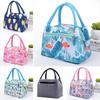 New Fashion Zipper Handheld Insulated Bag Women's Cartoon Waterproof Lunch Bag with Aluminum Foil Insulation