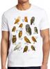 Owls Birds Nature Meme Gift Tee Gamer Cult Movie Music Funny T Shirt 2703