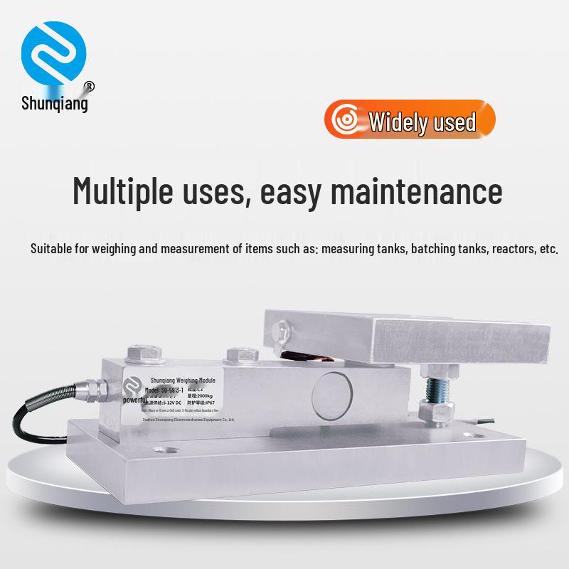 Shunqiang SB Weighing Module: 3t Metering Tank, 5t Tank Body, 10t Reactor