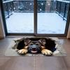 3D Ковры Оптическая Иллюзия Белка И Собака Мягкий Нескользящий Быстросохнущий Коврик 3D Ковер с Оптической Иллюзией Для Дня Рождения Хэллоуина