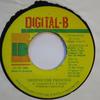 7-дюймовая пластинка TERROR FABULOUS Defend The Princess NONE DigitalB 1995 Ямайка Регги Ска Даб Б/у