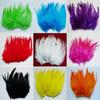 9 Kind Colour Select Rooster Feather DIY Home Furnishing Accessories 100 Root Sell 10-15cm 4-6 Inch