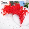 20Pcs57 Big Red Feather Diy Jewelry Accessories Clothing Handicrafts Decorative Materials