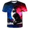 Футболка с 3D принтом Kawaii Cat, детская летняя модная повседневная футболка унисекс для мальчиков и девочек, детская одежда, футболка, одежда для девочек, топы