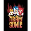 Team Sonic Framed Poster