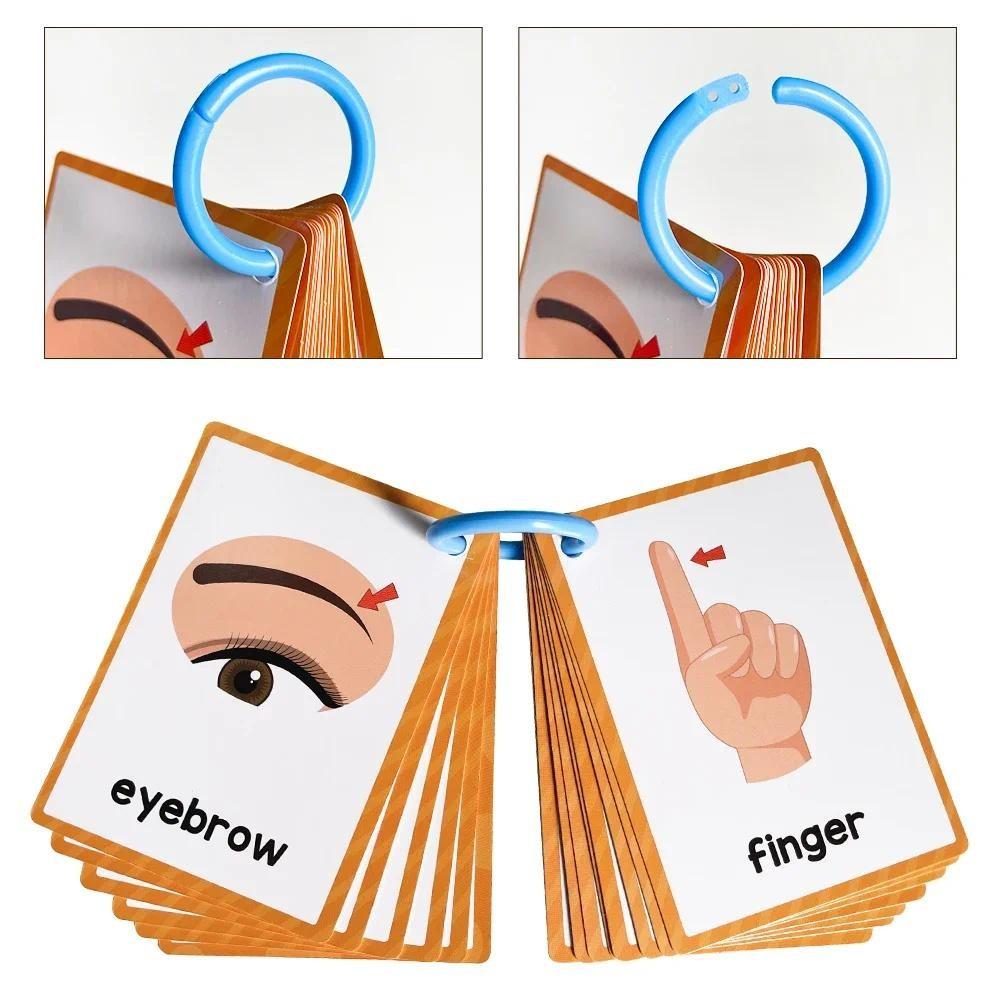 15 карточек Части тела детей Познавательная карточка Игрушки Монтессо Флэш-карточки для ребенка Образование Просвещение Изучение английского языка Карточка