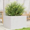 VidaXL Planter White 70x70x45.5 Cm Solid Pine Wood, Outdoor Planter, Flower Box, Plant Box, Planter 847254