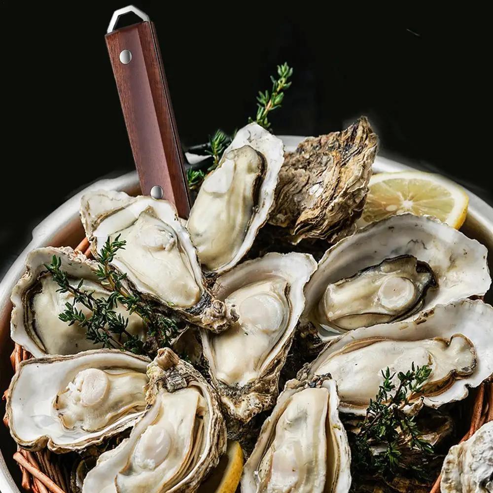 Нож для устриц Острое лезвие Шакер Ракушка Морепродукты Открывалка Инструмент Нержавеющая сталь Открывалка для моллюсков для устриц Моллюски Рыба-жаба Краб Раковины