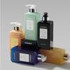 All-in-One Perfume Shower 500ml (Choose 1 of 4 Types)
