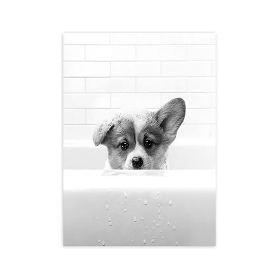 New Arrival Black White Animals In Tub Bathroom Wall Art Canvas Painting Posters and Prints Wall Pictur for Room Decor One Piece