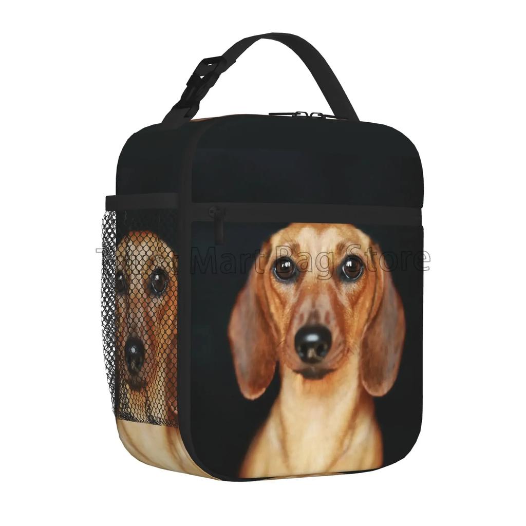 Такса Собака Принт Многоразовая Изолированная Сумка-Охладитель Для Обеда Термальная Сумка-Холодильник Bento для Мужчин Женщин Офиса Пешего Туризма Кемпинга Пикника Пляжа